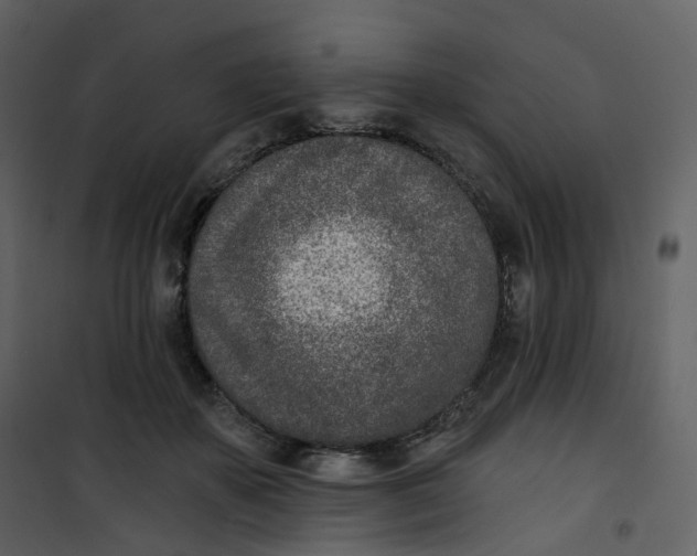 X0000101200507200807181538