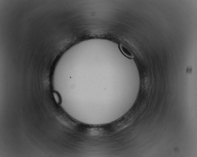 X0000101200508200807181538