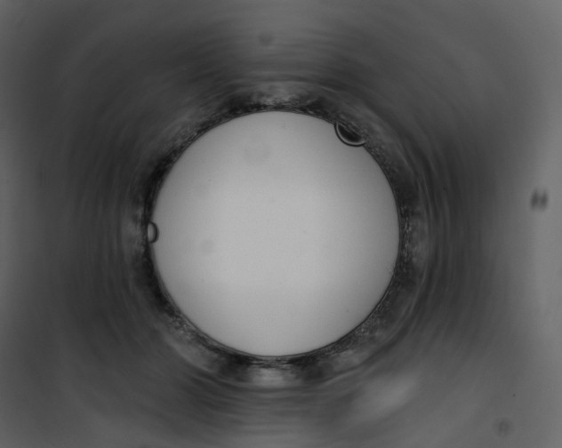 X0000101200510200807181538