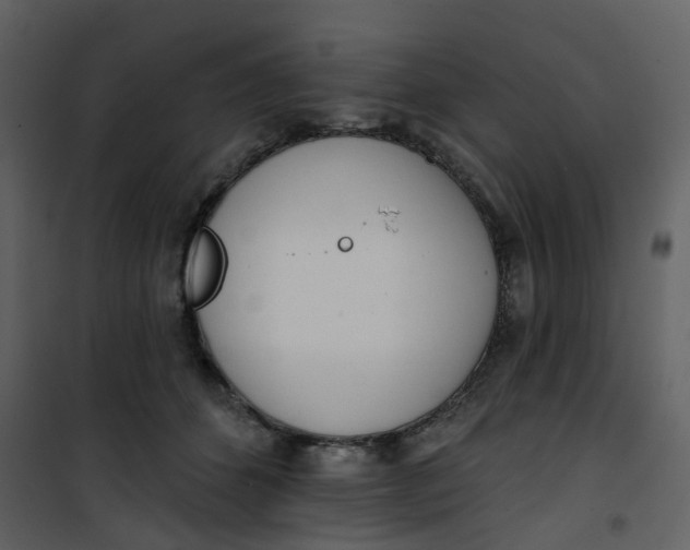 X0000101200512200807181538