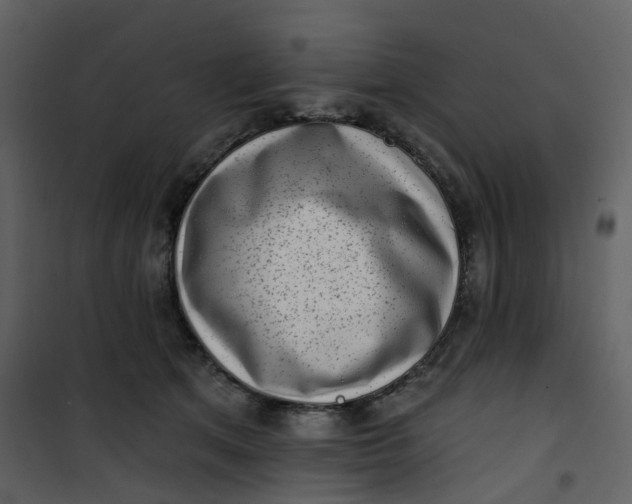 X0000101200513200807181538