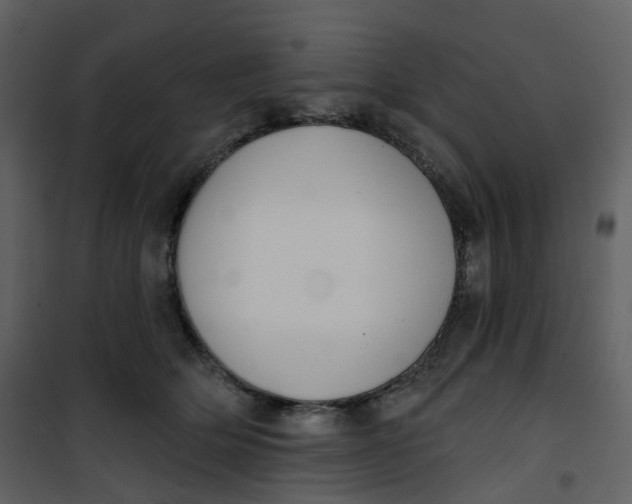 X0000101200514200807181538