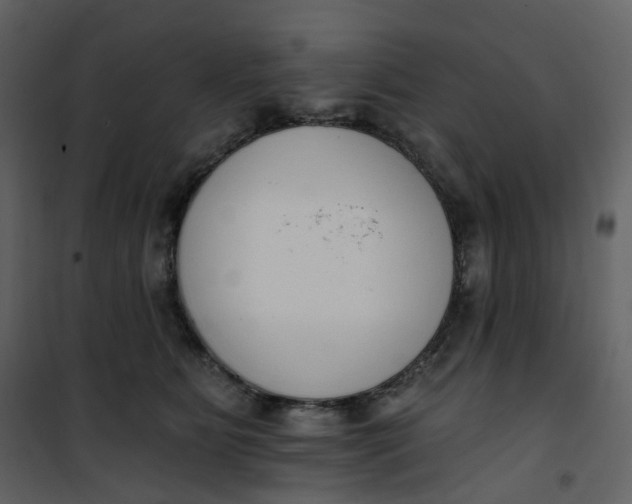 X0000101200515200807181538