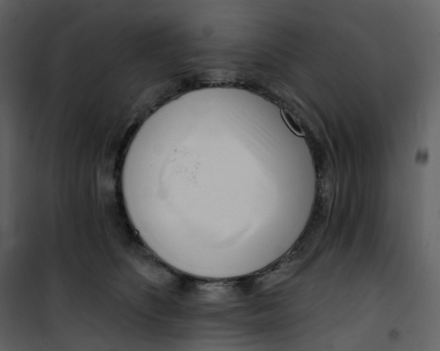 X0000101200516200807181538