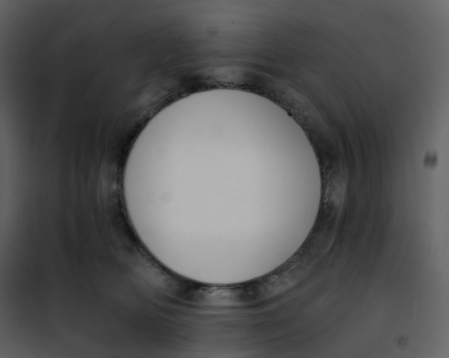 X0000101200518200807181538