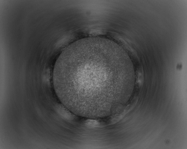 X0000101200519200807181538