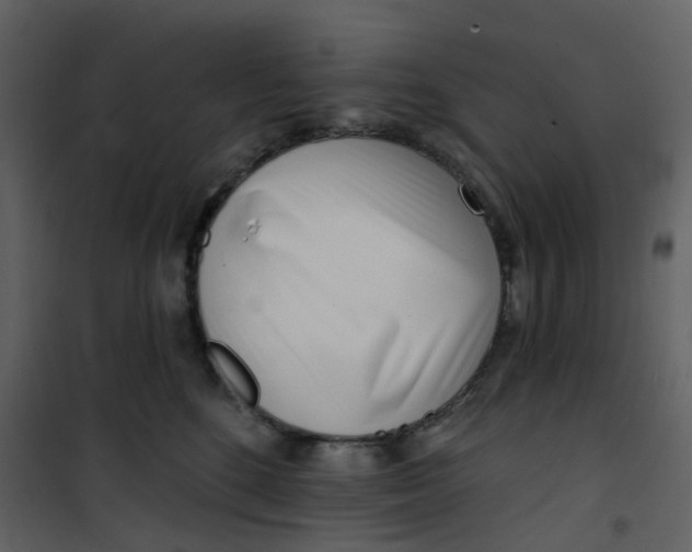 X0000101200520200807181538