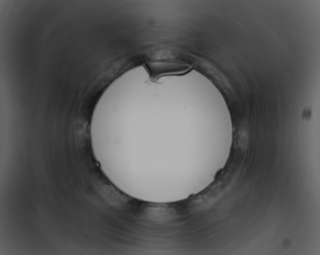 X0000101200521200807181538