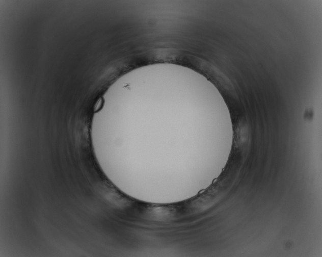 X0000101200522200807181538