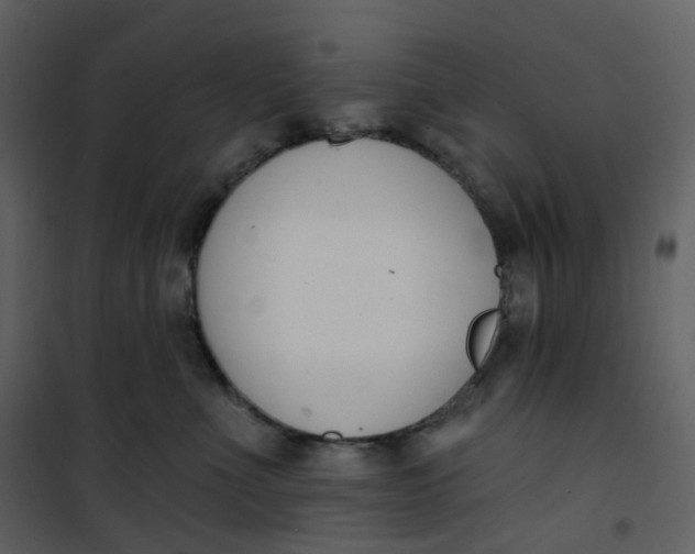 X0000101200523200807181538