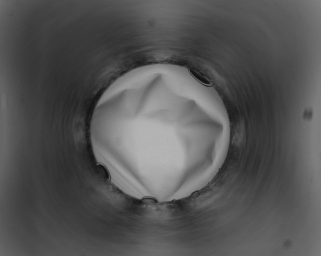 X0000101200524200807181538