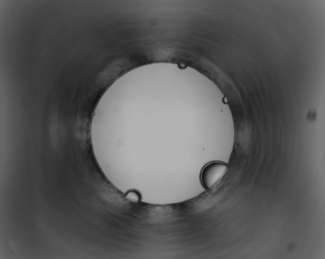 X0000101200525200807181538