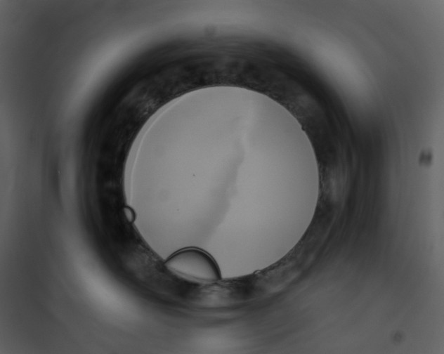 X0000101200526200807181538