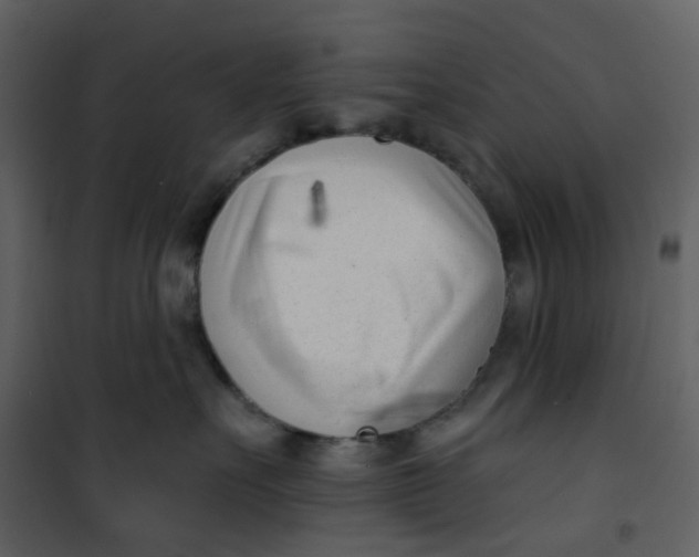 X0000101200527200807181538