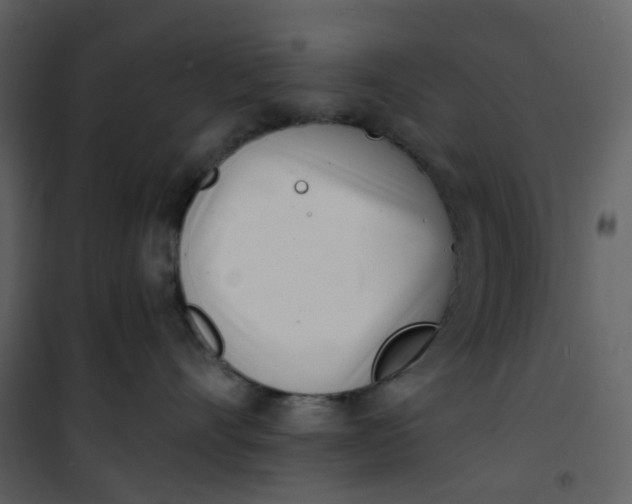 X0000101200528200807181538