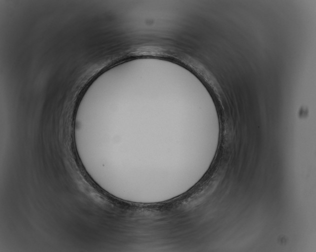 X0000101200529200807181537