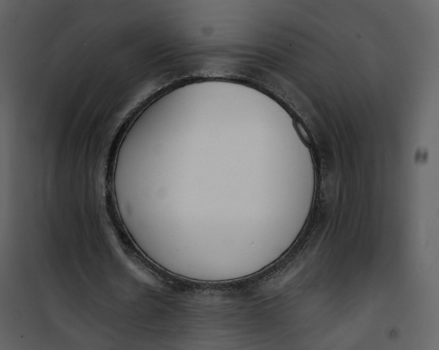 X0000101200530200807181537