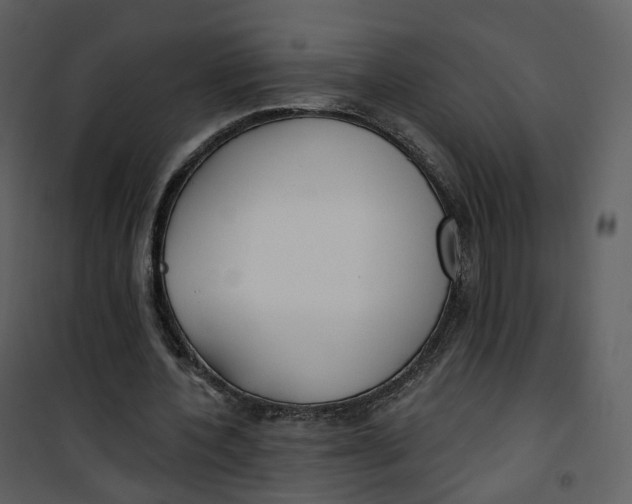 X0000101200532200807181537