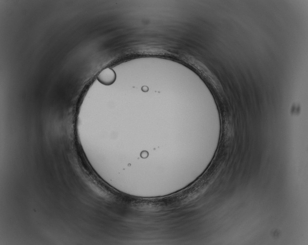 X0000101200533200807181537