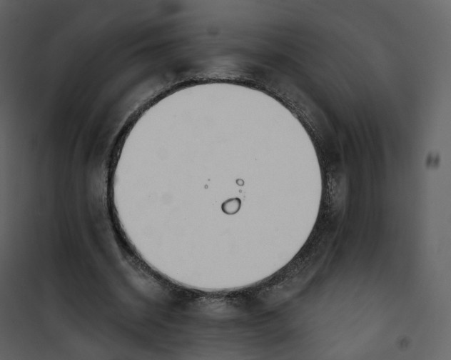 X0000101200534200807181537