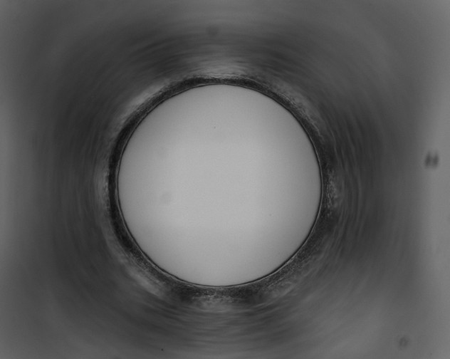 X0000101200535200807181537