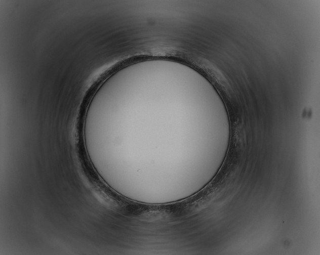 X0000101200536200807181537