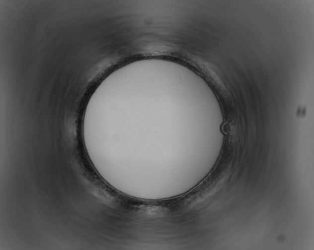 X0000101200539200807181537