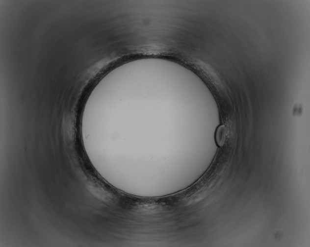 X0000101200540200807181537