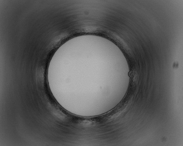 X0000101200542200807181537