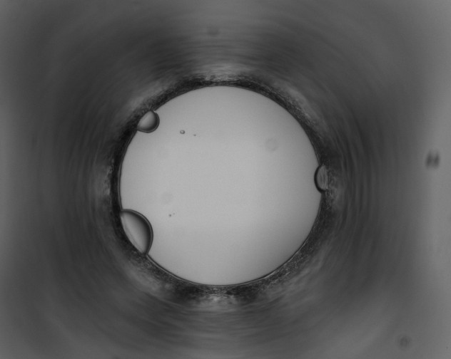 X0000101200543200807181537