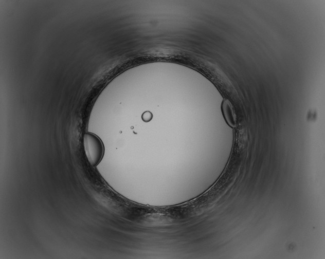 X0000101200544200807181537