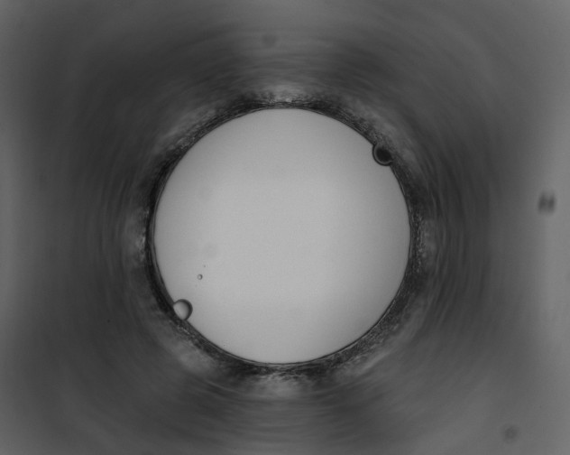 X0000101200545200807181537