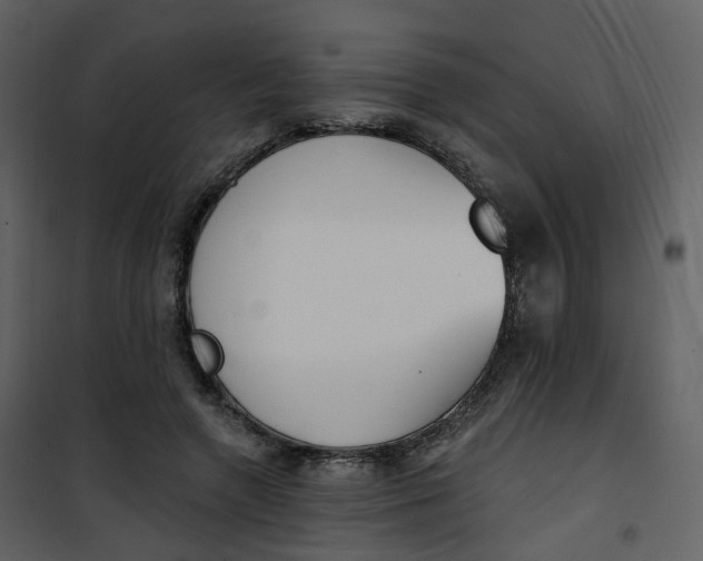 X0000101200546200807181537