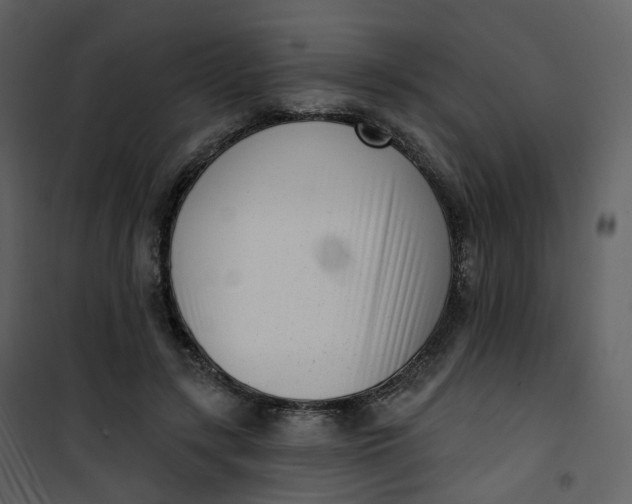 X0000101200547200807181537