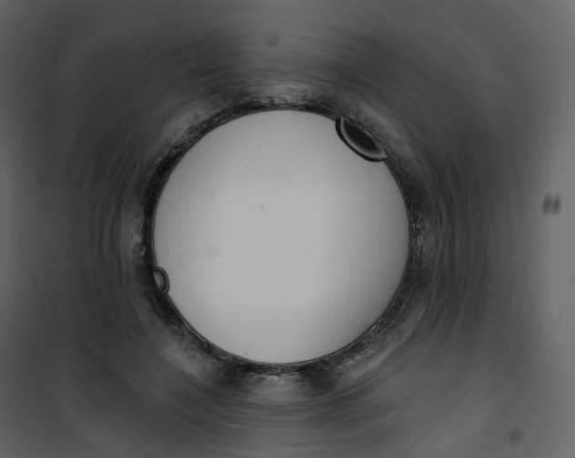 X0000101200548200807181537