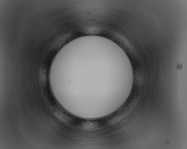 X0000101200549200807181537