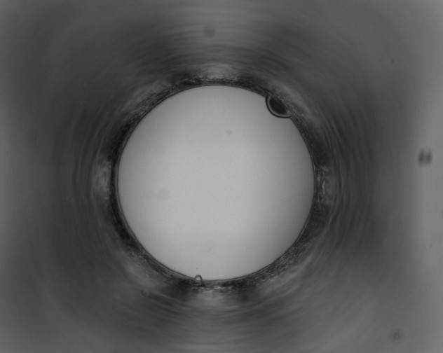 X0000101200550200807181537