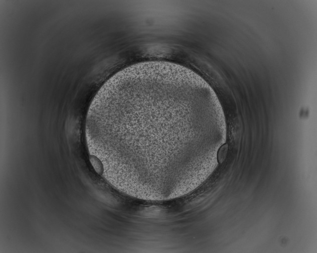 X0000101200551200807181537