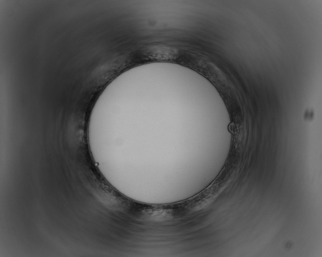 X0000101200553200807181537