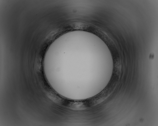 X0000101200554200807181537