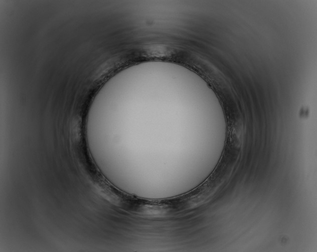 X0000101200556200807181537