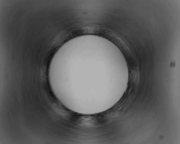 X0000101200557200807181537