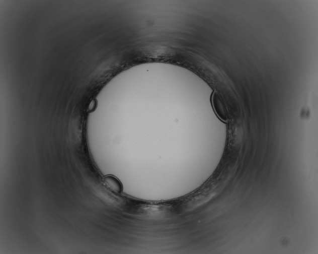 X0000101200558200807181537