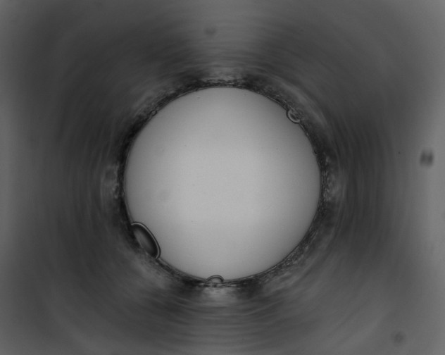 X0000101200560200807181537