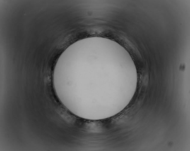 X0000101200561200807181537