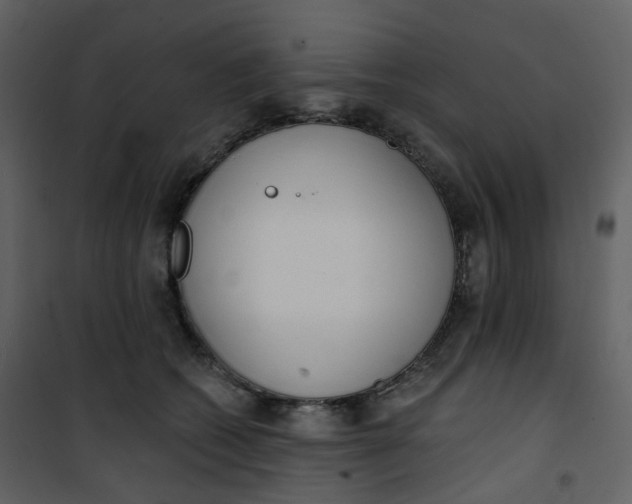 X0000101200562200807181538