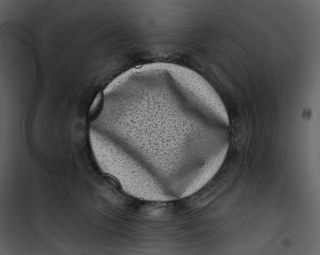 X0000101200563200807181538