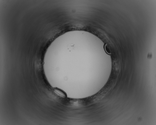 X0000101200564200807181538