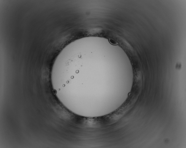 X0000101200565200807181538