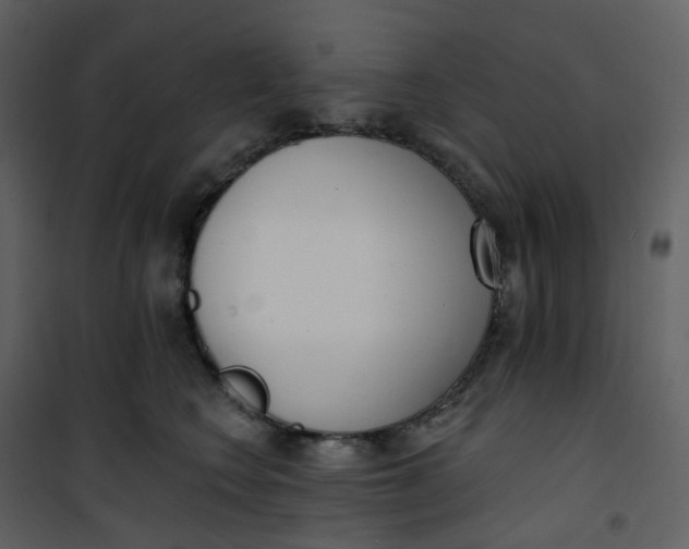 X0000101200566200807181538